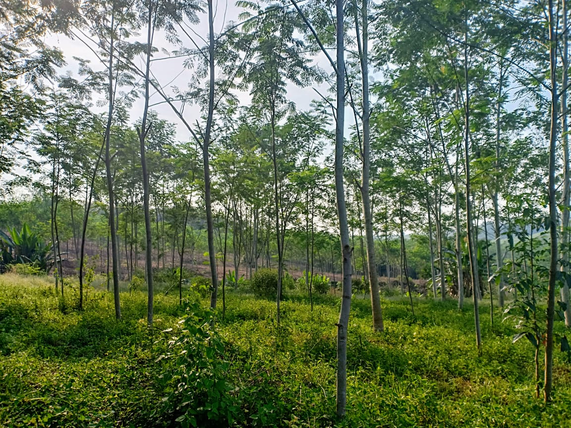 Peralatan berat di lokasi proyek tambang